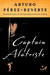 Captain Alatriste (Adventures of Captain Alatriste, #1)