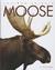 Moose