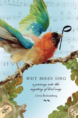 why birds sing a journey into the mystery of bird song by why birds sing a journey into the mystery of bird song by