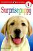 Surprise Puppy (Dk Readers: Level 1)