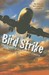 Bird Strike: The Crash of the Boston Electra