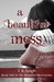 A Beautiful Mess (Beautiful Mess, #1)