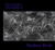 Untitled (Volume I) by Nathan Reid Untitled (Volume I) by Nathan Reid