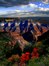Arizona Author Accolades