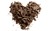 Chocolate Lovers Fanclub