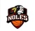 Basketball in Florida