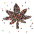 Cannabis Quest