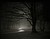 Dread Forest (roleplay)