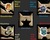 Potter Warriors~role play~