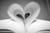 Heart to Heart Book Club Church of the Redeemer Sarasota FL