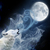 The Wolves of Night and Day