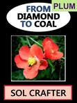 From Diamond to Coal, by Sol Crafter