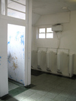 Toilet Trader's Journal : Woking.