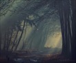 The Forest of Whispers