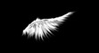Fallen Landing