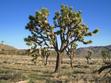 Rants From a Disgruntled Desert Dweller