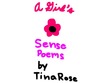 A Girl's Sense Poems. Story By, Written By, And Illustrated By Tina Rose