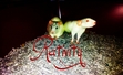 Rativity