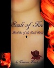 Souls of Fire (Book One of the Souls Series) by Vanessa Black