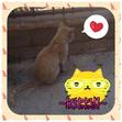Purr