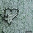 A Declaration too Late