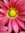 Christina (AKA Babbling) (BabblingBookReviews) | 46 comments