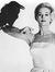 Tippi