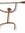 Jacinta Hoare | 19 comments