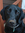 Paula | 148 comments