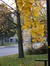 Dorchester County Public Library