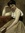 Tess | 377 comments