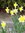 Judithe | 121 comments