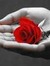 Jackie M