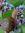 Snail in Danger (Sid) Nicolaides (upsight) | 542 comments