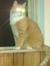 Philip