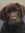 Jean Labrador