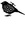 Andrew Finazzo (johnyqd) | 301 comments