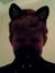 Prince of Cats