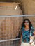 Nitya