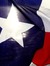 Texas Reader- Stacy
