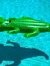 AlligatorSmith