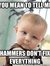 Shadi ***save your ratings use disclaimers**