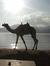 Dahab