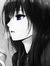 TheBookLionizer