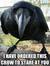 Raven