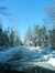 Frosty61