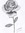 Rose | 4 comments