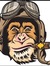 Flying Monkey
