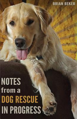 cliff notes review