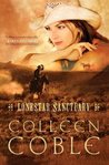 Lonestar Sanctuary (Lonestar Series, #1)